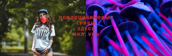 стаф Ахтубинск
