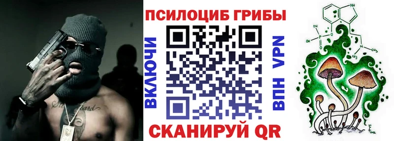 Галлюциногенные грибы Psilocybine cubensis Хилок