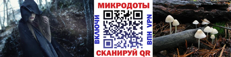 Псилоцибиновые грибы MAGIC MUSHROOMS  купить наркоту  Хилок 