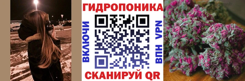 Канабис сатива ОМГ ОМГ маркетплейс Хилок
